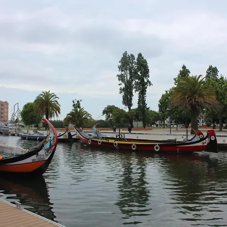 Ninho Citadino *