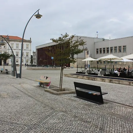 Ninho Citadino